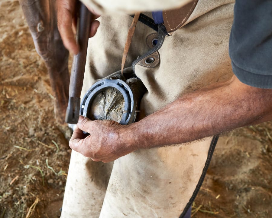 Farrier Services