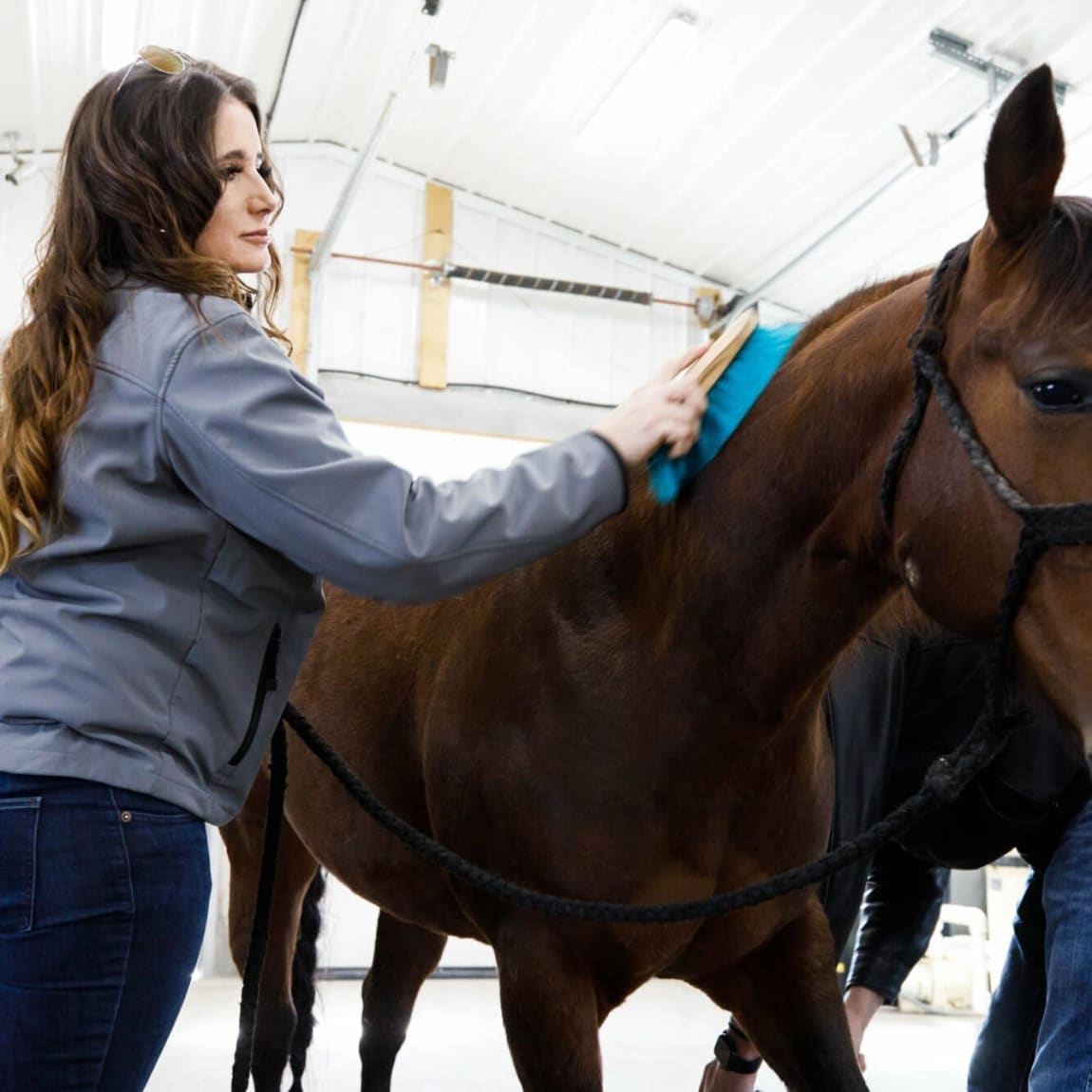 Equine Pre-purchase Exams, Wichita Vets